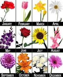 Twitter Birth Month Flowers Birth Flowers Birth Flower Tattoos