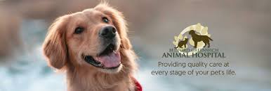 Companion animal hospital of vernon hills 1101 s. Bedford Greenwich Animal Hospital Veterinarians