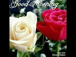 Good Morning Song Love You Too Much Youtube ✓ free for commercial use ✓ high quality images. good morning song love you too much