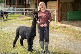 The case of geronimo the alpaca could well prove a major turning point in improving bovine tb control policy, in order to better. Besn5akjuc 6rm