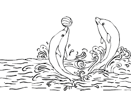 Your child will love coloring his favorite zoo animals. Dolphin Coloring Page Coloring Page Book For Kids