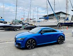 Image result for Ara Blue 2017 TT