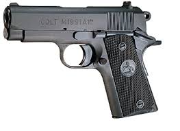 Image result for Strata Blue 1991 Colt