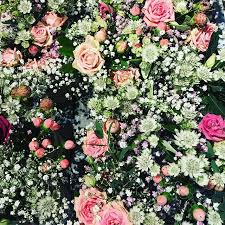 Le Petit Jardin Op Instagram Flowercarpet Flower Flowers Allover Astrantia Gypsophila Hypericum Roses Lysianthus Olivet Astrantia Gypsophila Jardin