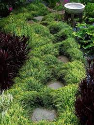 Erin S Art And Gardens Garden Sloped Garden Japanese Garden Beautiful Gardens