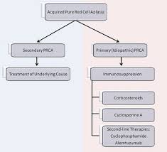 In prca, the bone marrow ceases to produce red blood cells. Hypoplastic Anemias Section 3 Part E Anemia