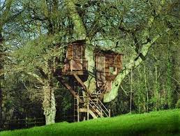 mabee 夢幻造型樹屋 cool tree houses tree house plans tree house