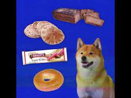 Tofu The Shiba Inu That Wants You To Send Breads Youtube