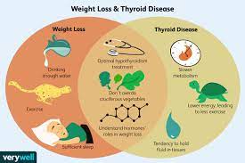 Thyroid Weight Loss And Diet Solutions