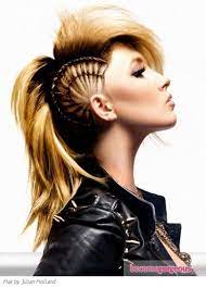 Pictures Punk Girl Hairstyles Chic Punk Braided Hairstyle Hair Styles Mohawk Hairstyles Hairstyle