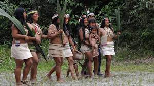 Deforestation is up 77% this year from last, and about 83,000 fires have been identified. Coronavirus Indigenous Amazon Tribe Covid 19 Patients Evacuated As Com