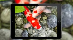 ❀ 4 fondos de pantalla hd con peces nadando en varios acuarios. Fondo De Pantalla En Movimiento 3d De Pescados For Android Apk Download
