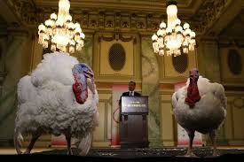 Watch Donald Trump pardon turkeys: time, live stream, and what to expect |  Vox