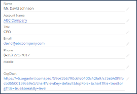 How To Add A Salesforce Org Chart Using Custom Fields