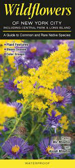 Browse the most recent oneonta, new york obituaries and condolences. Wildflowers Of New York City Incl Central Park Long Island A Guide To Common Rare Native Species Randi Minetor And Nic Minetor 9781936913190 Amazon Com Books