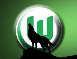 Wolf spent eight more seasons in the bundesliga as a coach with vfl wolfsburg, 1. Vfl Wolfsburg En Us On Twitter Today Is Worldanimalday Our Favourite Animal Naturally The Wolf Wolves