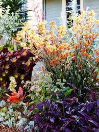 Sam Clayton And Mal Wood The Design Files Australia S Most Popular Design Blog Front Garden Design Native Garden Mediterranean Plants