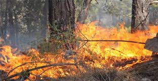 Jul 01, 2021 · son dakika gündem haberi: Mugla Valisi Son Dakika Dalaman Fethiye Yangini Aciklamasi Marmaris E Sicrayacak Mi Sondurulmedi Mi