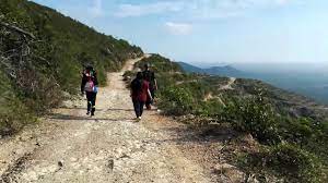 Sebut saja bukit tok din, dia terbayang bukit setinggi 300 meter. Bukit Tok Dun Perlis Youtube