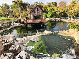 Swimming pool service and repair in phoenix, az offers a variety of swimming pool plumbing services. Koi Pond Maintenance Repair Installation Services