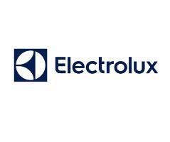 Striving to make everyday life at home more enjoyable and sustainable for 100 years and beyond. It Manager Eluxone Sales Execution Apac Mea At Electrolux Home Appliances Sdn Bhd Grabjobs