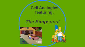 Check spelling or type a new query. Cell City Analogies The Simpsons By Caitlin Carey