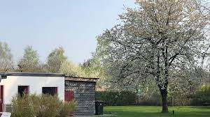 Alle häuser sind neu renoviert und verfügen über 2 sz, 1 du/wc. Der Garten Ferienhaus Otto