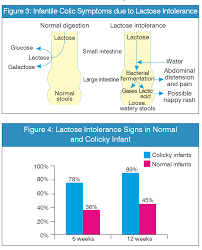 Image result for Lactase Deficiency