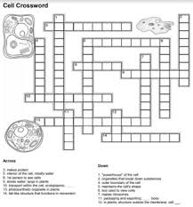 There is also amazing diversity within the plant kingdom. Cell Crossword Answer Key By Biologycorner Teachers Pay Teachers