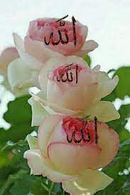 pin by ummohamed on اسماء الله الحسنى christmas ornaments holiday decor holiday