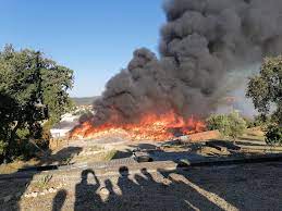 Consulte o risco de incêndio e planeie as suas atividades agrícolas, florestais e de lazer, para o concelho de coruche. Ljipcib42rtnkm