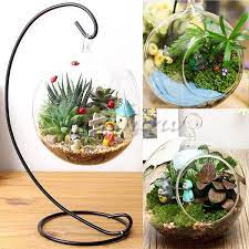 Complete kit for succulent planter or cactus container. Hanging Glass Ball Vase Flower Plant Pot Terrarium Container Decor With Stand Hanging Plants Terrarium Containers Glass Flower Vases