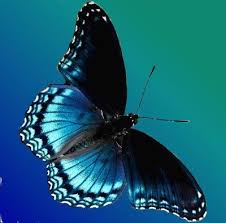 Pin On Beautiful