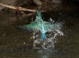 Alyssa Wilberg Onlyfans porn - hair pulling and dirty talking fantasies