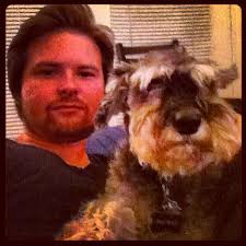 Typical guys night... #schnauzer #puppy #conan