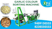 Peel Garlic Sorting Sorter Machine in APS Industries 7046650555🧄🧄