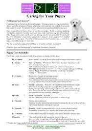 Maybe you would like to learn more about one of these? Caring For Your Puppy Pdf Ingleburn Veterinary Hospital
