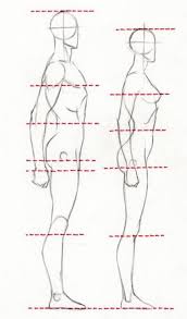 19 Super Ideas For Drawing Body Proportions Anatomy Human Figures Drawing Body Proportions Human Anatomy Drawing Human Body Drawing