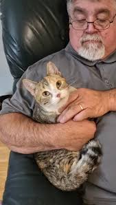 I dont really have any genuine friends. I have one that I consider my best  friend, but we are not in the same state so it is lonely...very lonely. I  do have