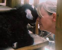 The Runyons and Hatfields 4/1958. South Williamson, Ky