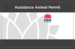For more information, check the government website of the state or territory you wish to enter. Apply For An Assistance Animal Permit Transportnsw Info