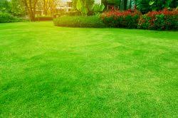 Find a top tier landscaper and lawn service that offers many residential and commercial landscaping services such as paver patios/walkways/driveways. Grass Cutting Services Norfolk Abm Lawn Care Llc