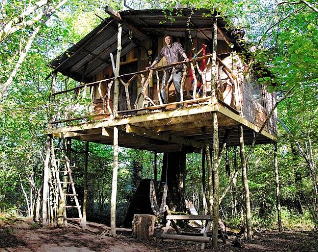 images?q=tbn:ANd9GcR0pkEQVLm8EWyfK4Zm2KCiLjCiDvVAGD4Dag