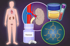 Image result for Finerenone