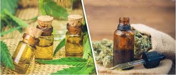 Although glycerin is a great vehicle for tinctures, it's not as good at bonding to the thc in your cannabis. How To Make A Cannabis Tincture Cannaconnection Com