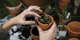 Maybe you would like to learn more about one of these? Tag Des Offenen Gartens Am 16 Juni Auch In Den Landkreisen Northeim Und Gottingen Einbeck News Nachrichten Aus Einbeck Und Umgebung