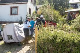 Haus eberbach, einfamilienhaus eberbach, einfamilienhaus angebote eberbach, einfamilienhaus in eberbach, haus mieten eberbach, häuser mieten eberbach. Verwahrloste Katzen In Eberbach So Etwas Habe Ich Noch Nie Gesehen Eberbach Rnz