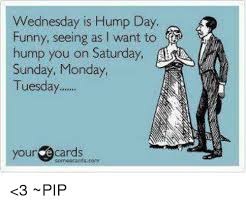 We did not find results for: Wednesday Is Hump Day Funny Seeing As I Want To Hump You On Saturday Sunday Monday Tuesday Your E Cards Comeecardscom 3 Pip Funny Meme On Me Me