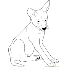 All coyotes colouring pages sketch coloring page. Coyote Coloring Page For Kids Free Coyote Printable Coloring Pages Online For Kids Coloringpages101 Com Coloring Pages For Kids
