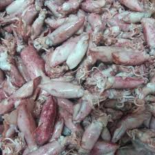 Maybe you would like to learn more about one of these? Cumi Sotong Rebus Jumbo 250gr Shopee Indonesia